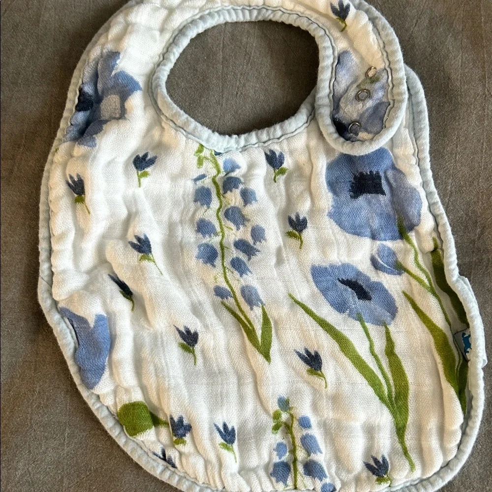 BIBS